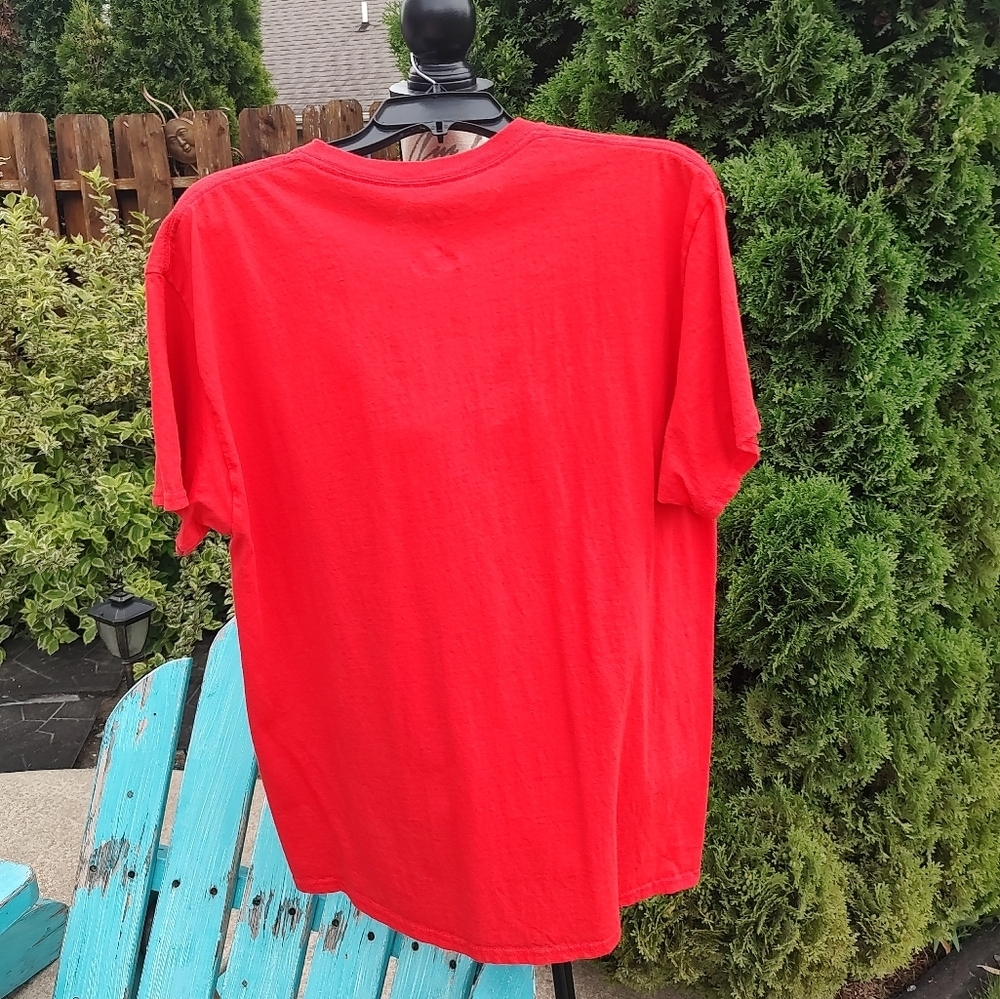 💥 3/$20 Captivating Large Wisconsin Badgers T-Shirt! - Picture 2 of 9